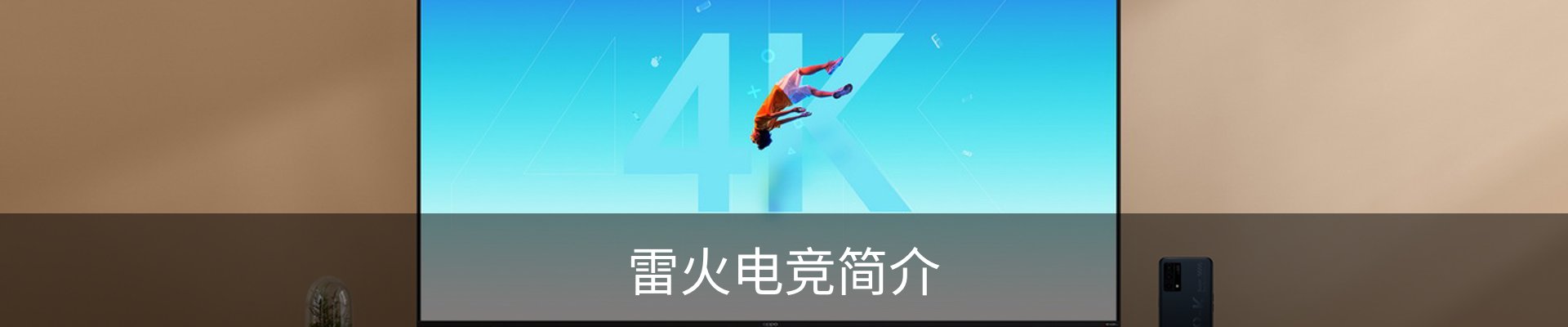 雷火电竞简介